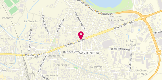 Plan de Groupement des Professionnels De, Route de Lyon, 42600 Savigneux