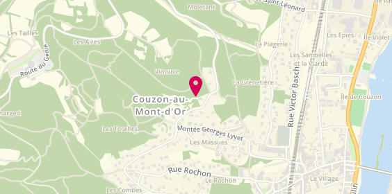 Plan de Autosur, 6 Rue de Saint Léonard, 69270 Couzon-au-Mont-d'Or