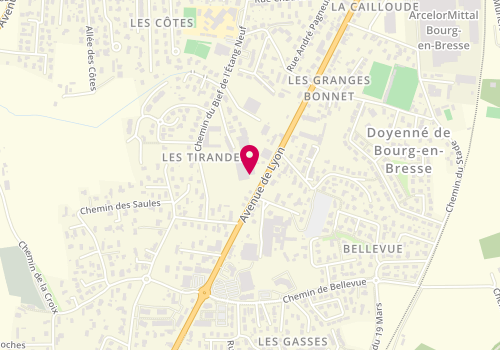 Plan de Technicar, 842 avenue de Lyon, 01960 Péronnas