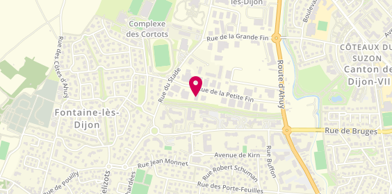 Plan de Autovision, 6 Rue de la Petite Fin, 21121 Fontaine-lès-Dijon
