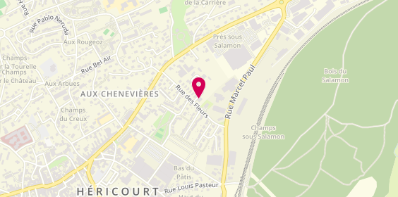 Plan de Autovision, 15 Rue des Fleurs, 70400 Héricourt